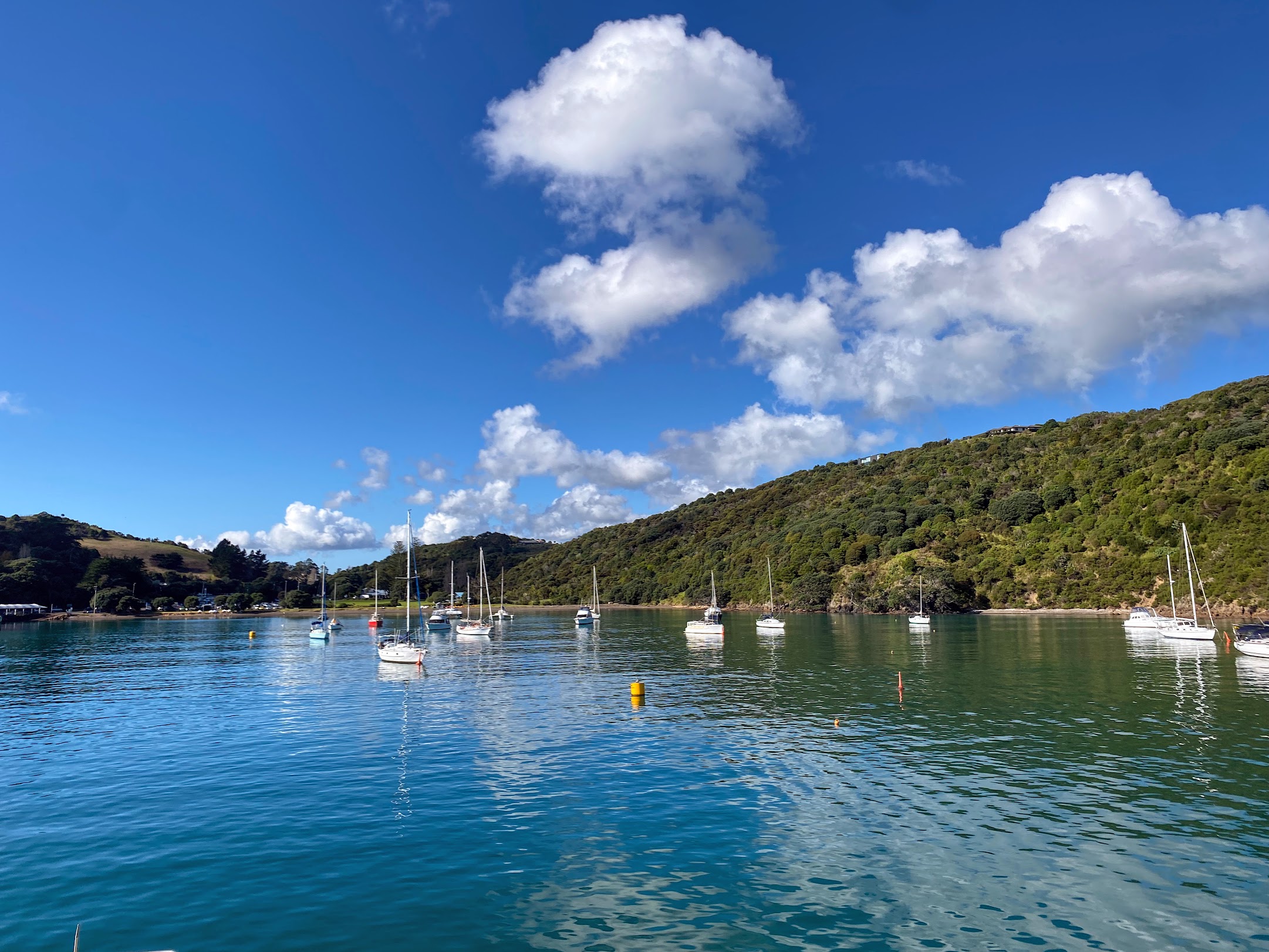 Explore Waiheke Island: The Perfect Day Trip from Auckland